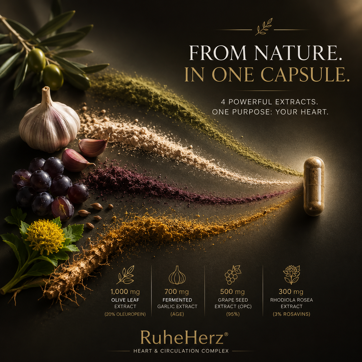 RuheHerz — From nature, in one capsule. Olive leaf, aged garlic, grape seed OPC and Rhodiola rosea.
